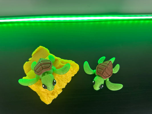 Personalized Sea Turtle Besties