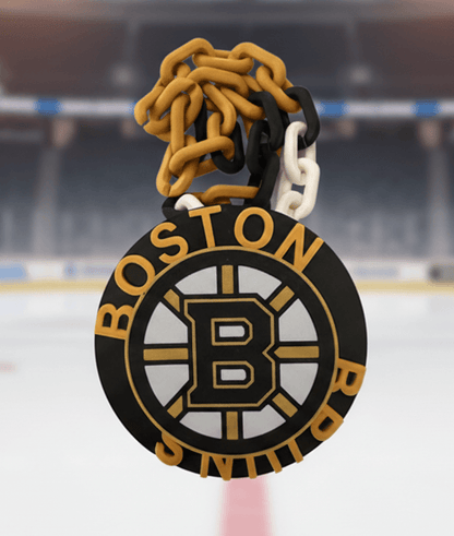 Boston Bruins